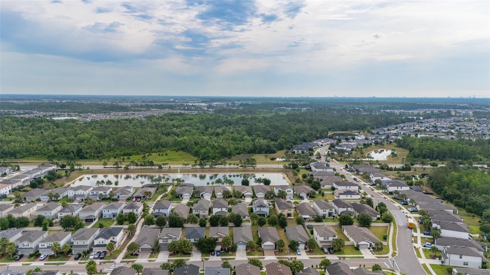 17325 BRACKEN FERN LN, CLERMONT, FL, 34714