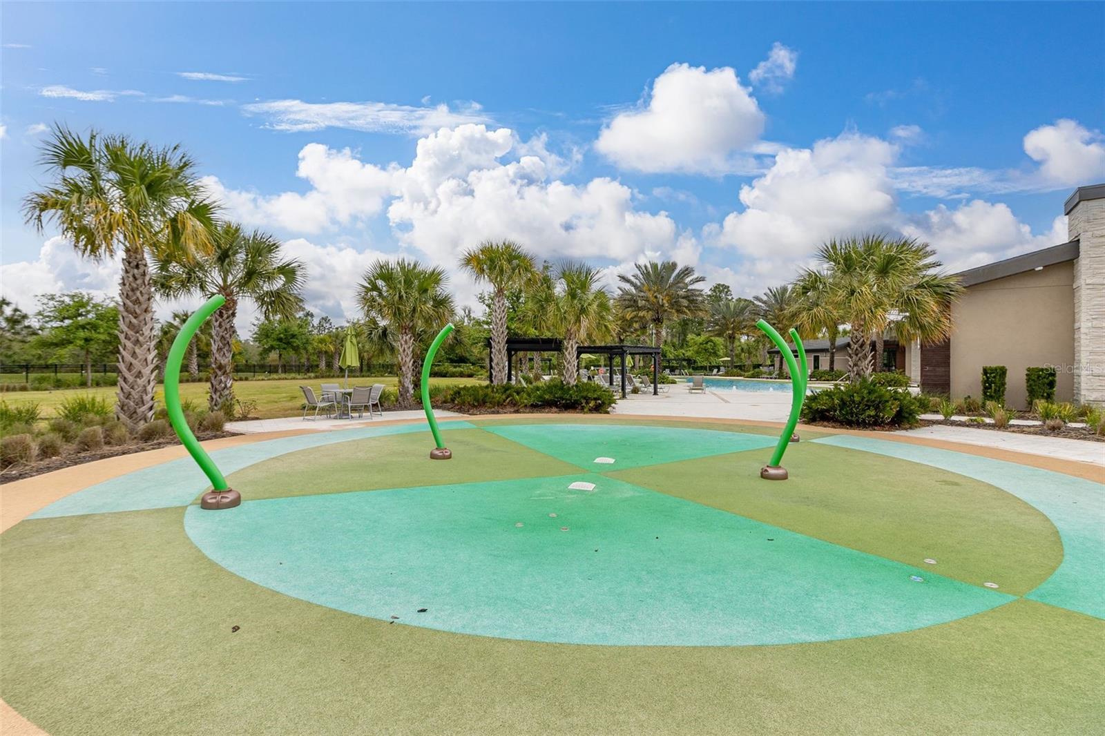 17325 BRACKEN FERN LN, CLERMONT, FL, 34714