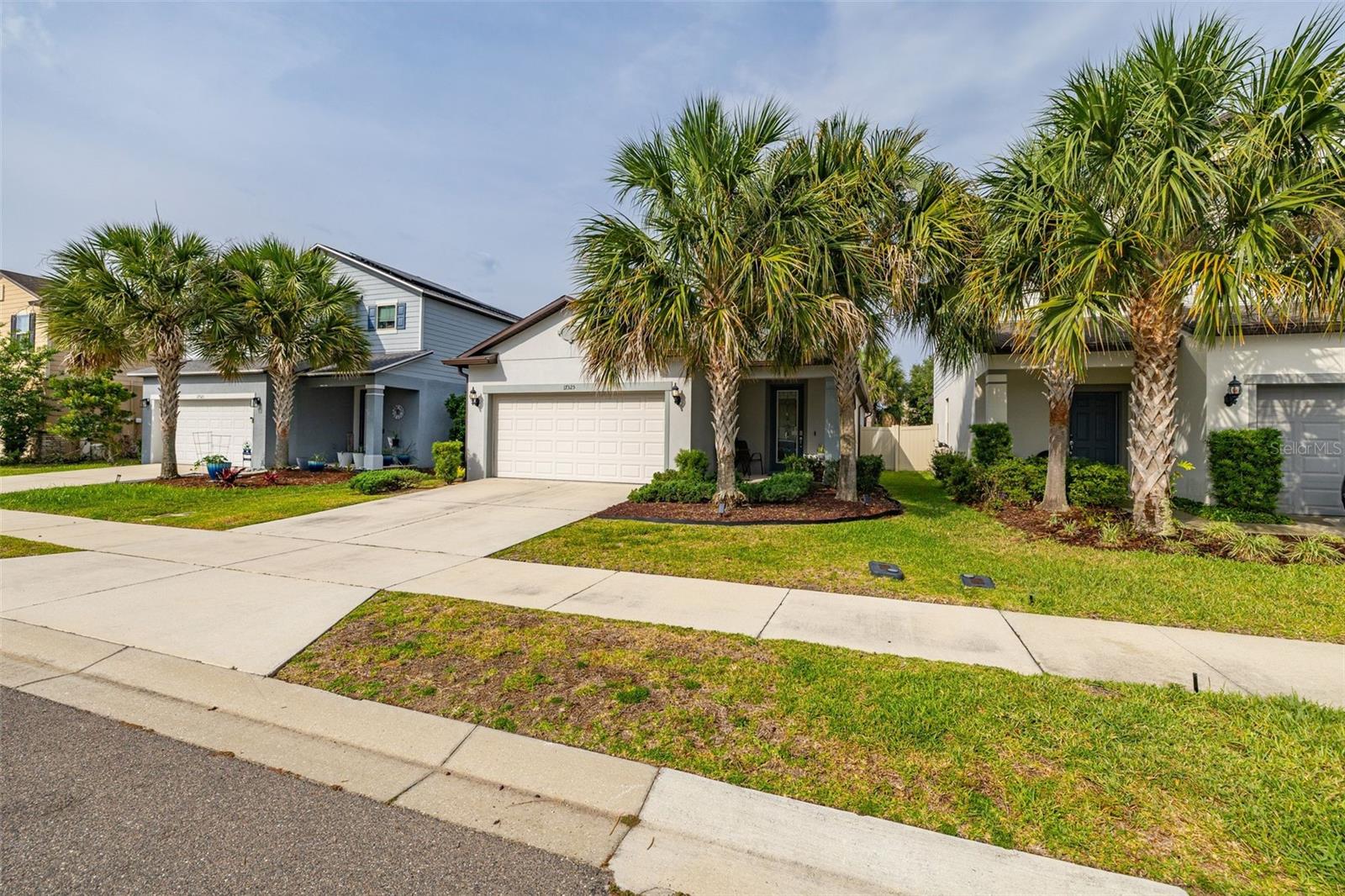 17325 BRACKEN FERN LN, CLERMONT, FL, 34714