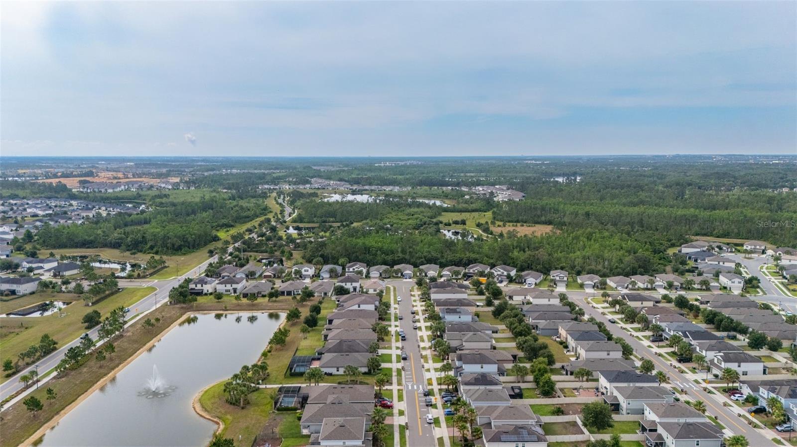 17325 BRACKEN FERN LN, CLERMONT, FL, 34714
