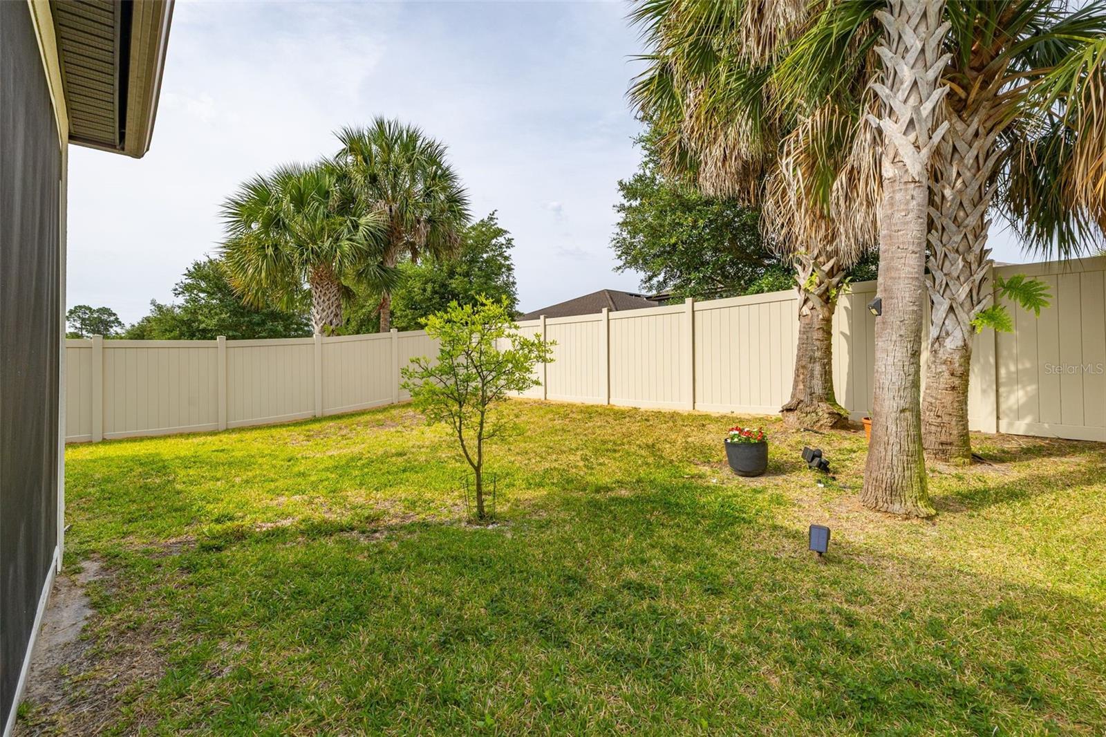 17325 BRACKEN FERN LN, CLERMONT, FL, 34714