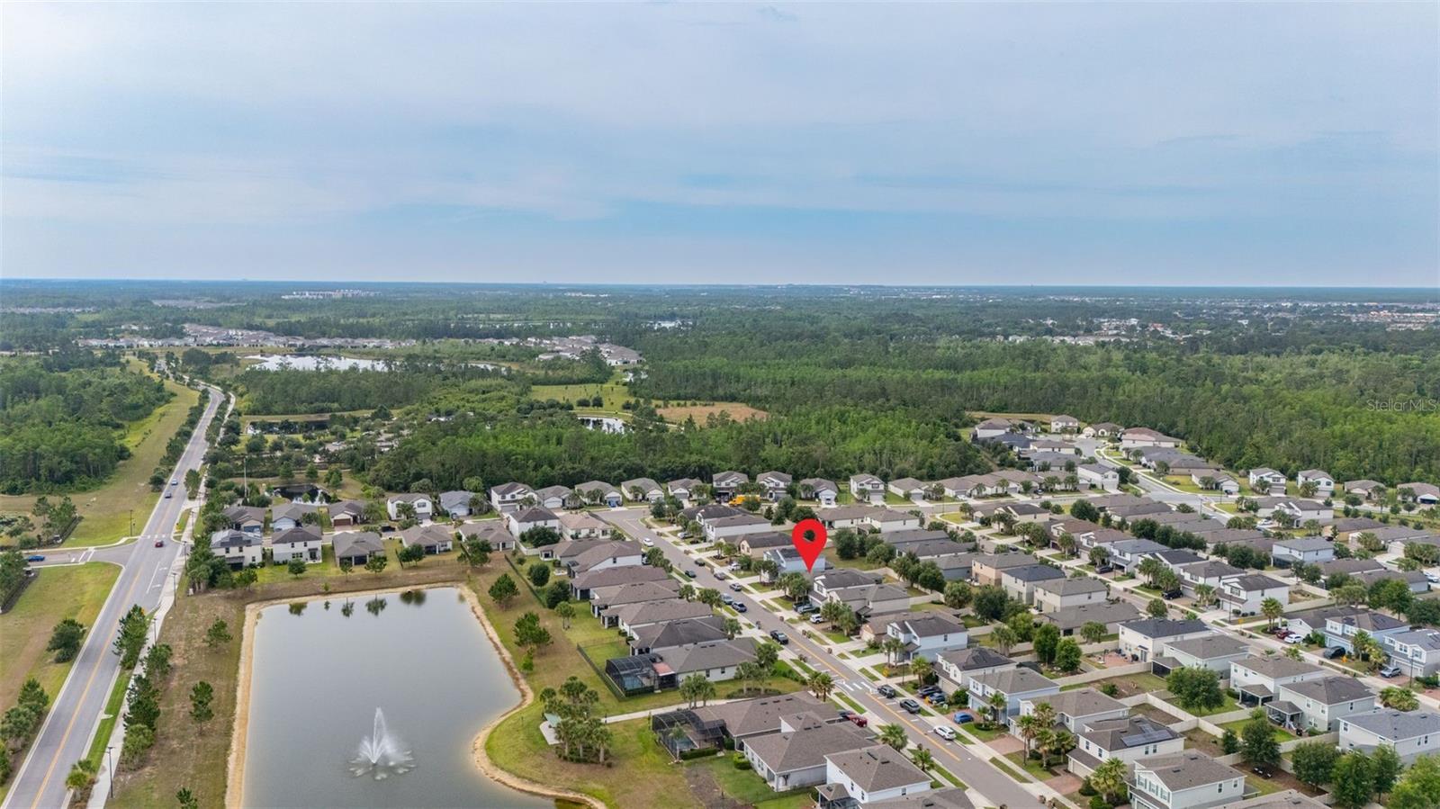 17325 BRACKEN FERN LN, CLERMONT, FL, 34714