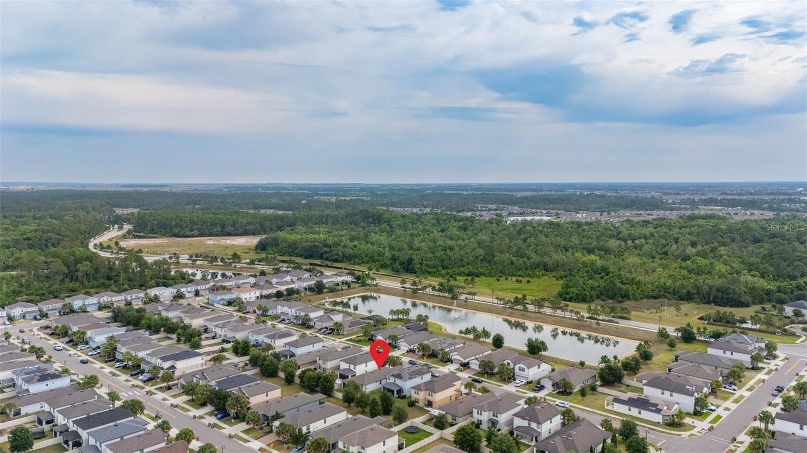 17325 BRACKEN FERN LN, CLERMONT, FL, 34714