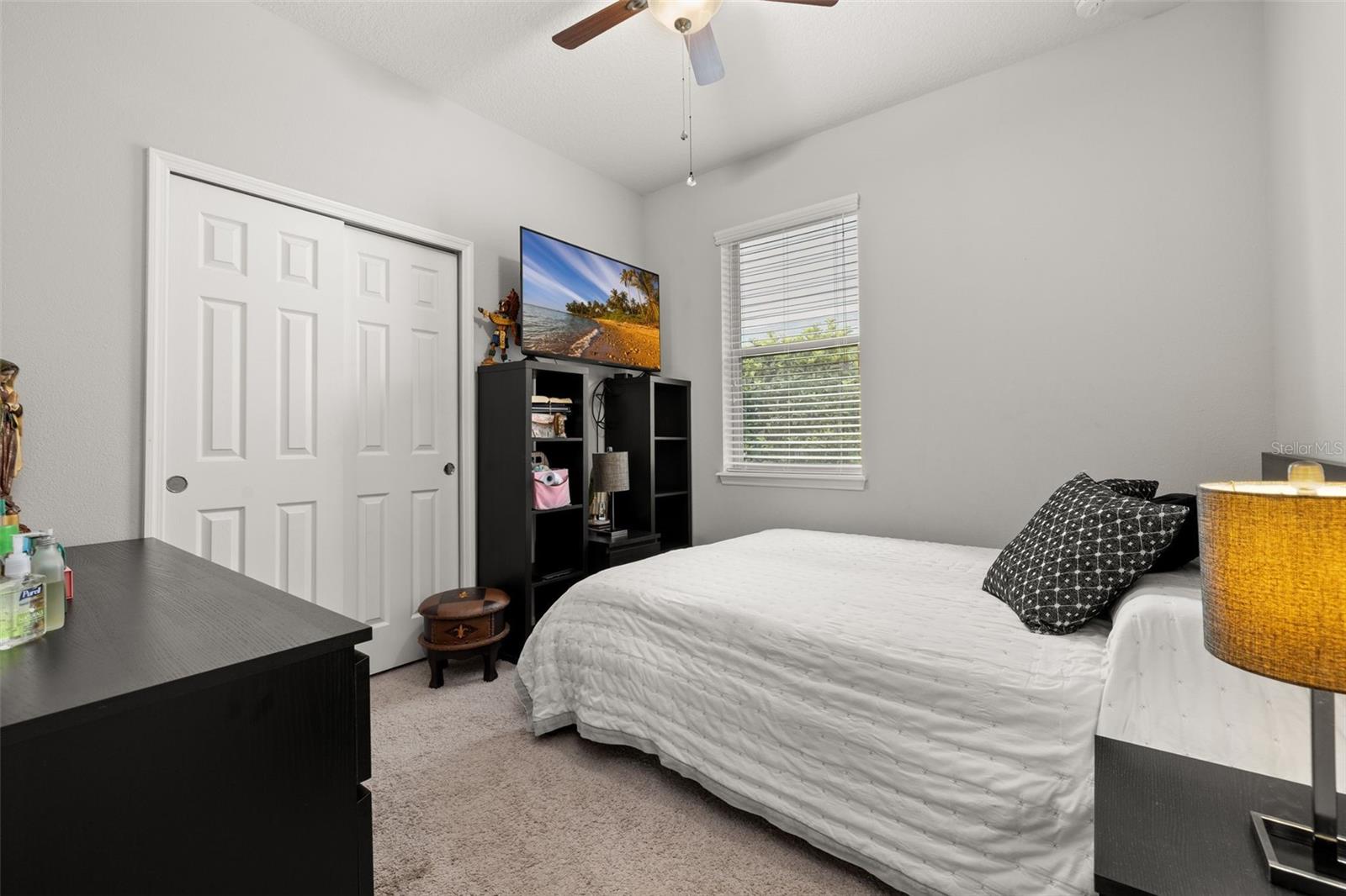 17325 BRACKEN FERN LN, CLERMONT, FL, 34714