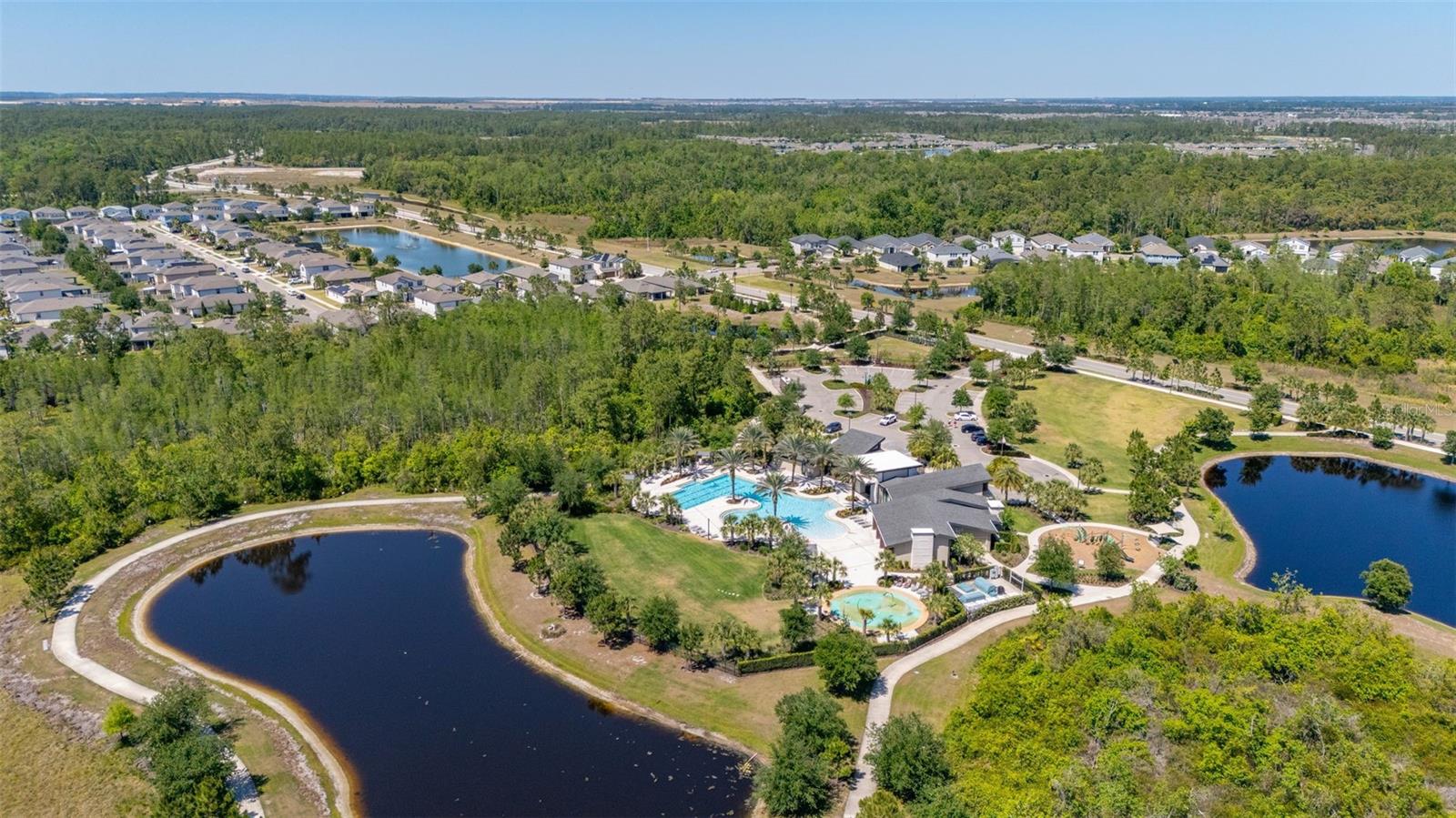 17325 BRACKEN FERN LN, CLERMONT, FL, 34714