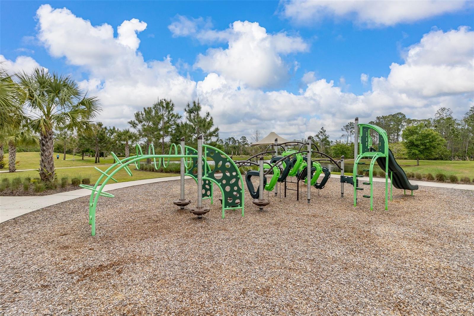 17325 BRACKEN FERN LN, CLERMONT, FL, 34714