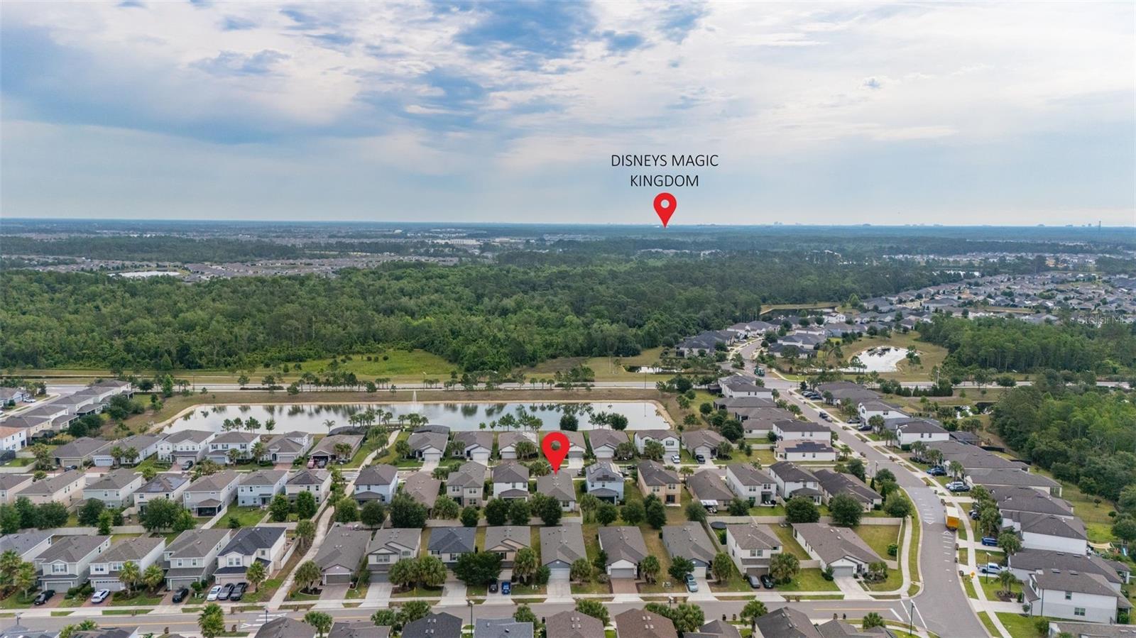 17325 BRACKEN FERN LN, CLERMONT, FL, 34714