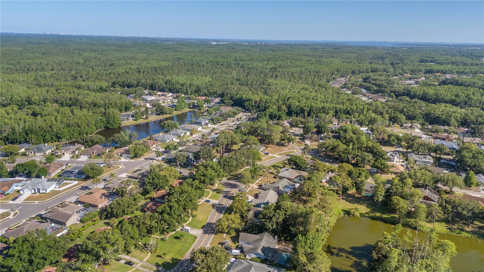 3446 TARPON WOODS BLVD, PALM HARBOR, FL, 34685