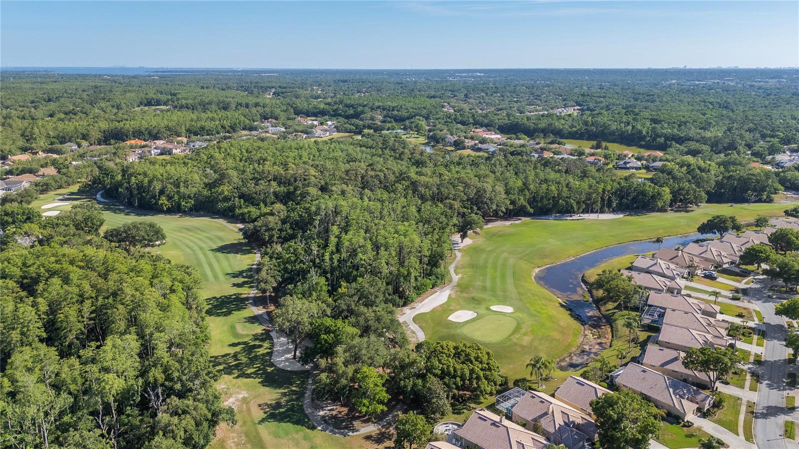 3446 TARPON WOODS BLVD, PALM HARBOR, FL, 34685