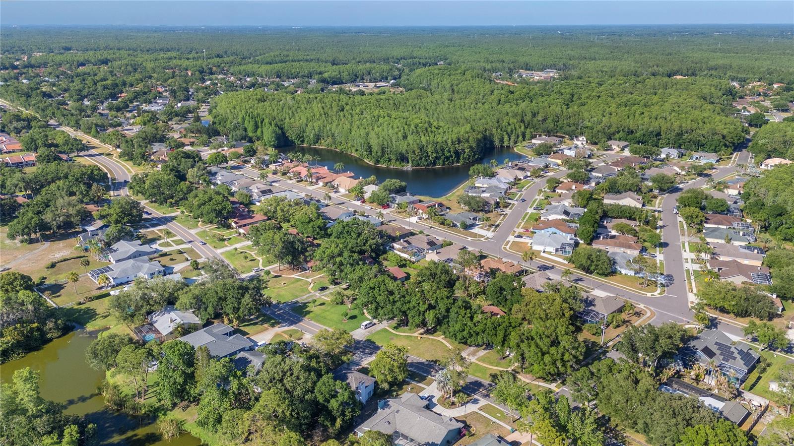 3446 TARPON WOODS BLVD, PALM HARBOR, FL, 34685