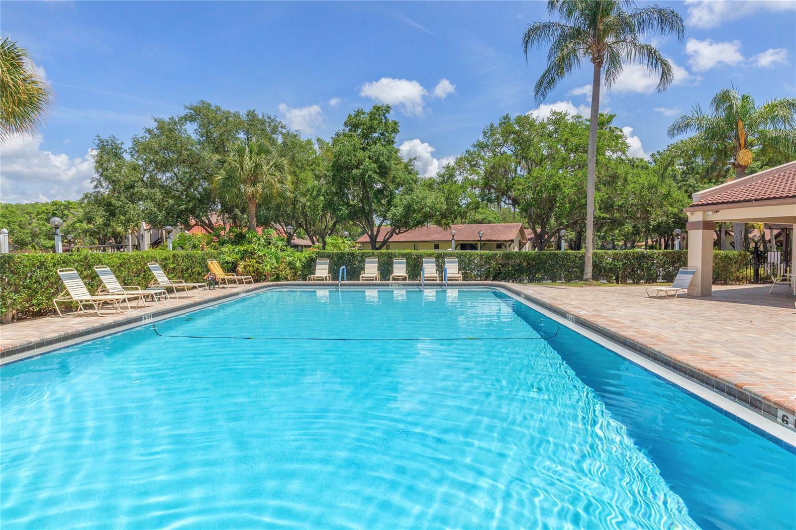3446 TARPON WOODS BLVD, PALM HARBOR, FL, 34685