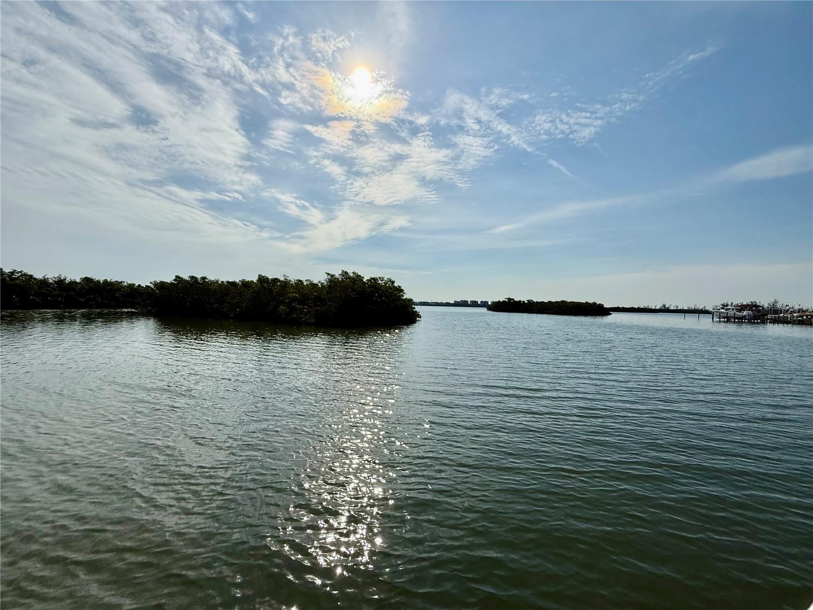 1257 TREE BAY LN, SARASOTA, FL, 34242