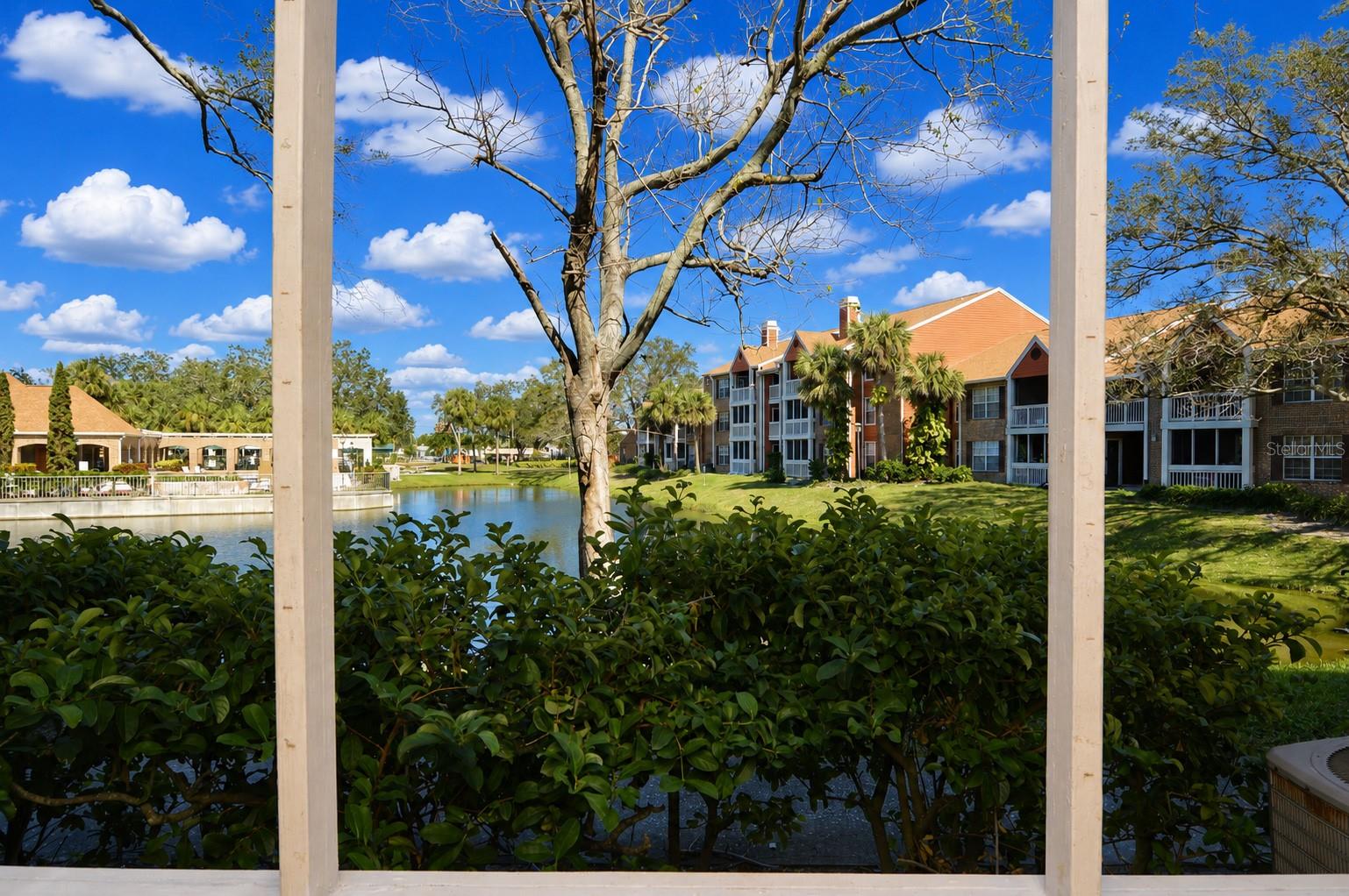 10200 GANDY BLVD N #1225, ST PETERSBURG, FL, 33702