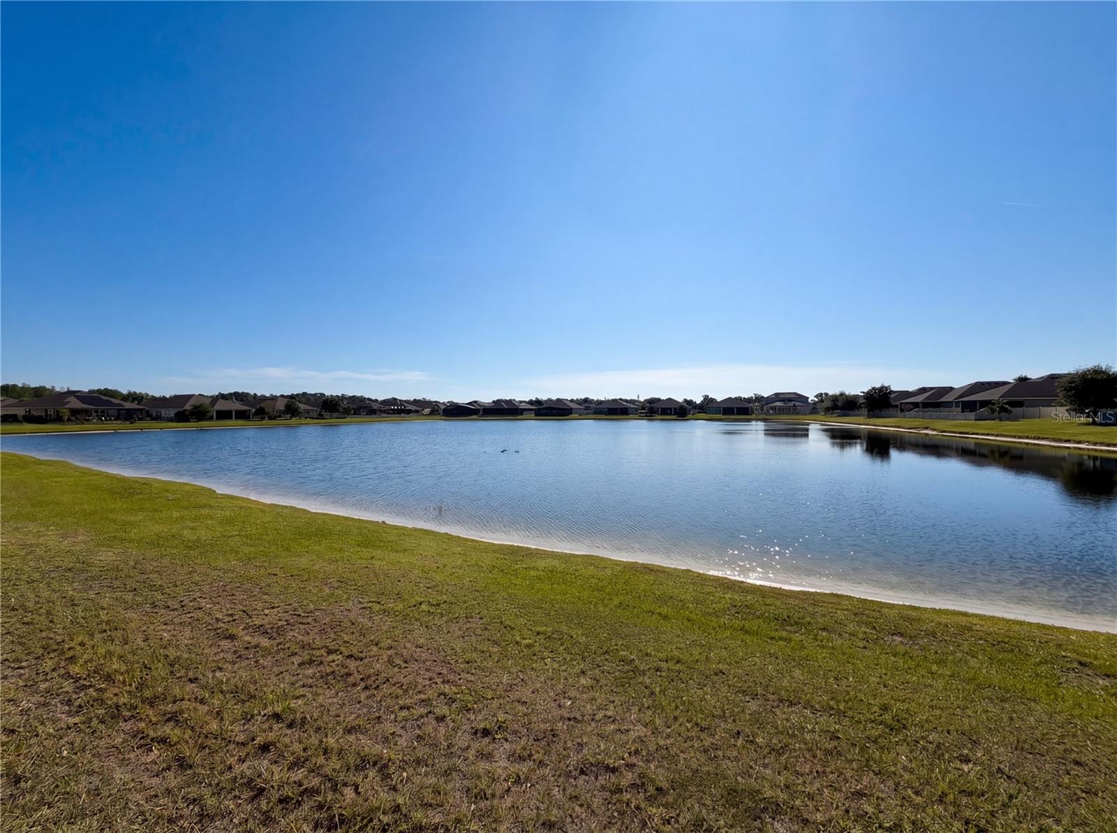 1811 HENLEY ST, MAGNOLIA SQUARE, FL, 34771