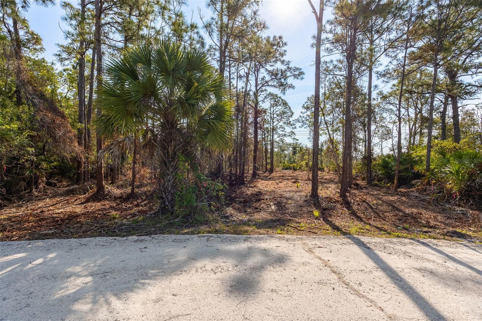 12428 CARAVAN DR, PUNTA GORDA, FL, 33955
