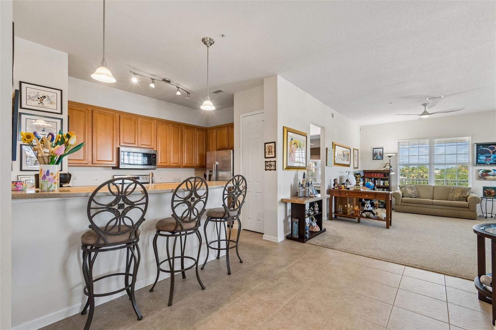 7903 SEMINOLE BLVD #2401, SEMINOLE, FL, 33772