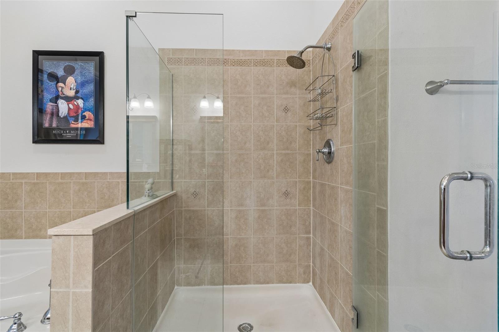 7903 SEMINOLE BLVD #2401, SEMINOLE, FL, 33772