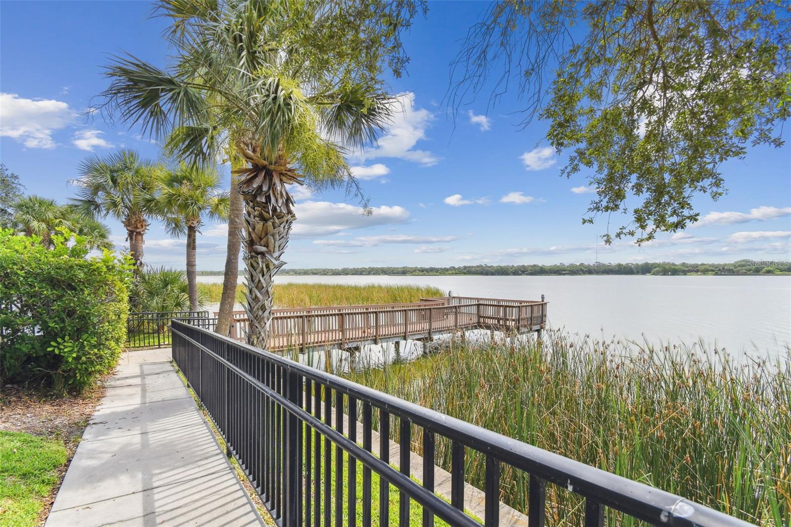 7903 SEMINOLE BLVD #2401, SEMINOLE, FL, 33772