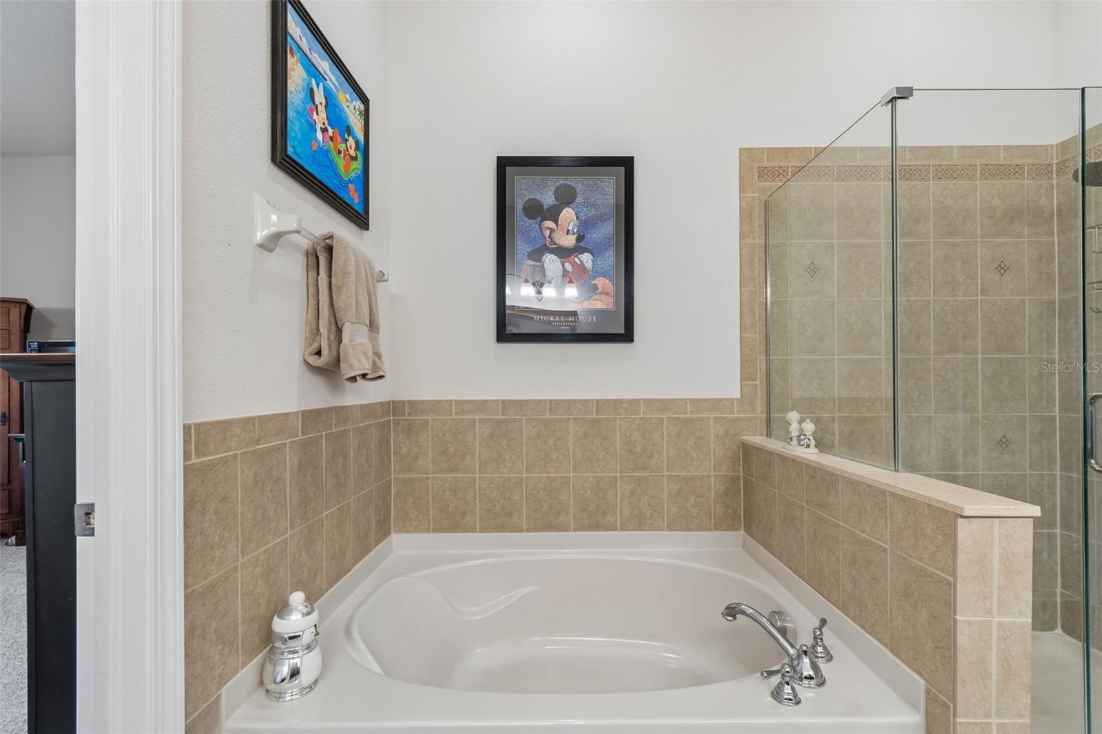 7903 SEMINOLE BLVD #2401, SEMINOLE, FL, 33772