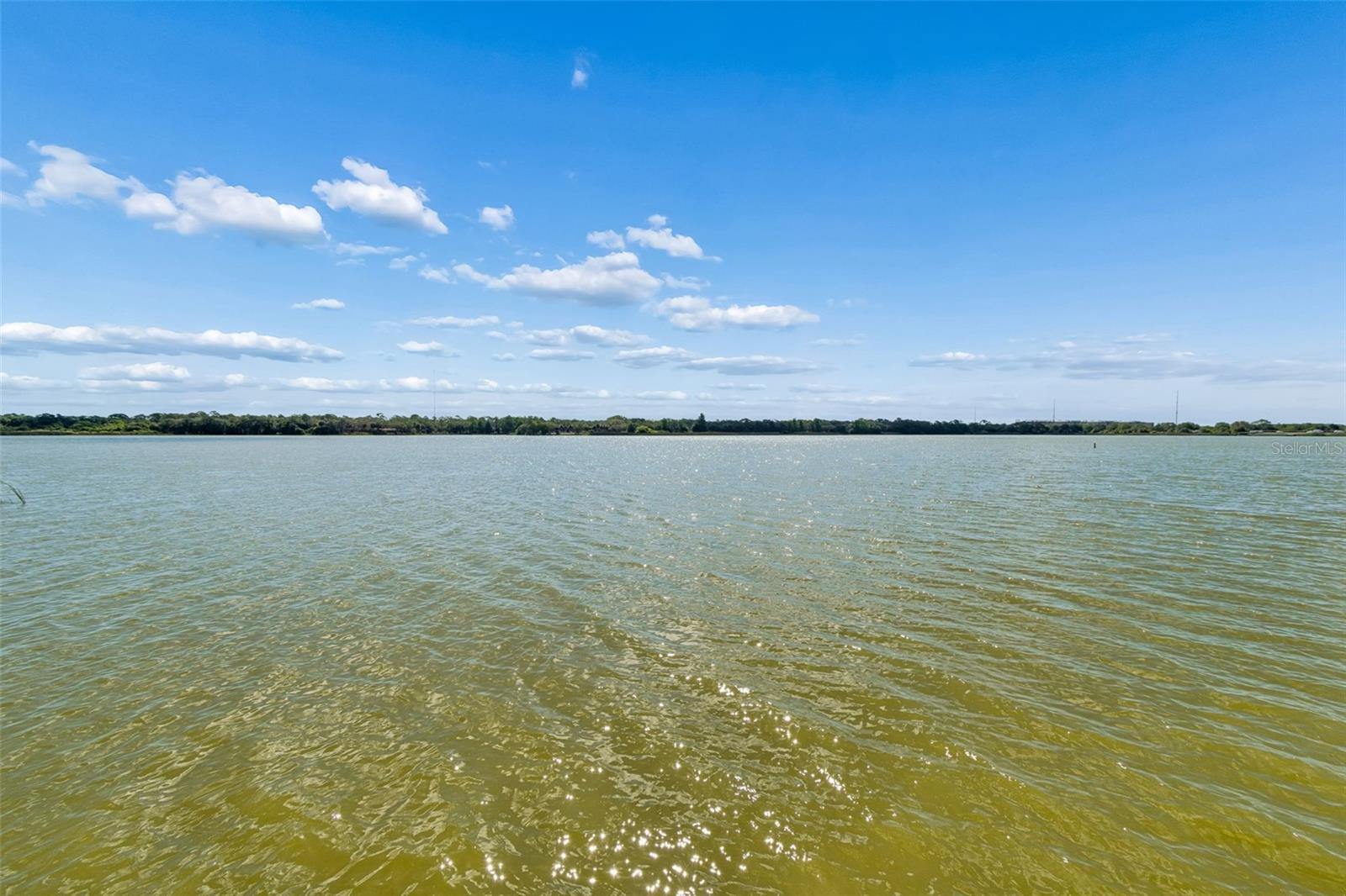 7903 SEMINOLE BLVD #2401, SEMINOLE, FL, 33772