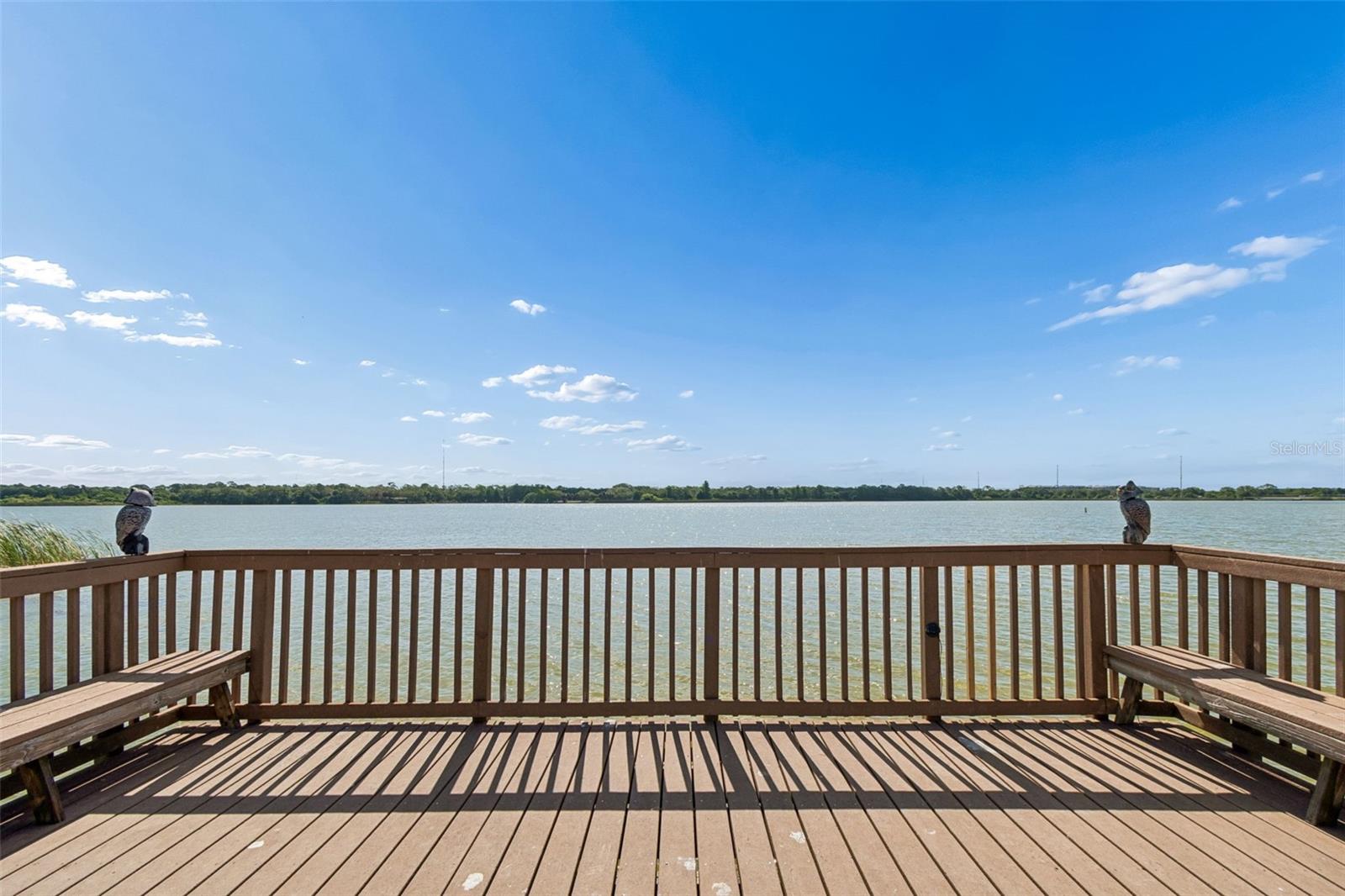 7903 SEMINOLE BLVD #2401, SEMINOLE, FL, 33772