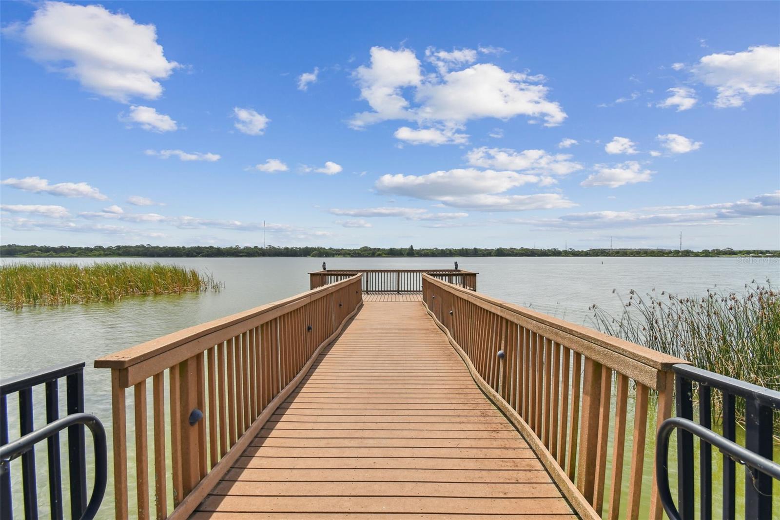 7903 SEMINOLE BLVD #2401, SEMINOLE, FL, 33772