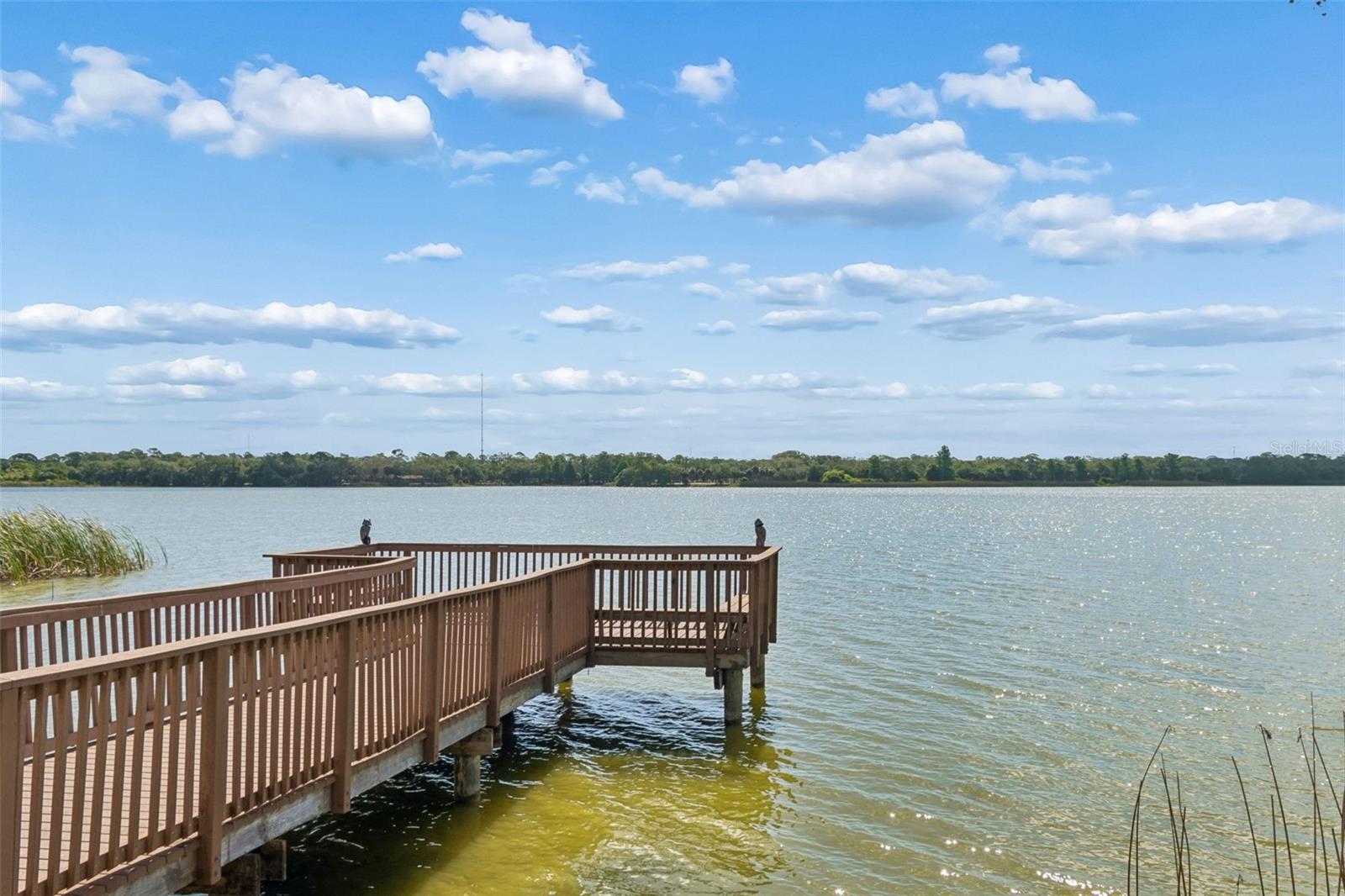 7903 SEMINOLE BLVD #2401, SEMINOLE, FL, 33772