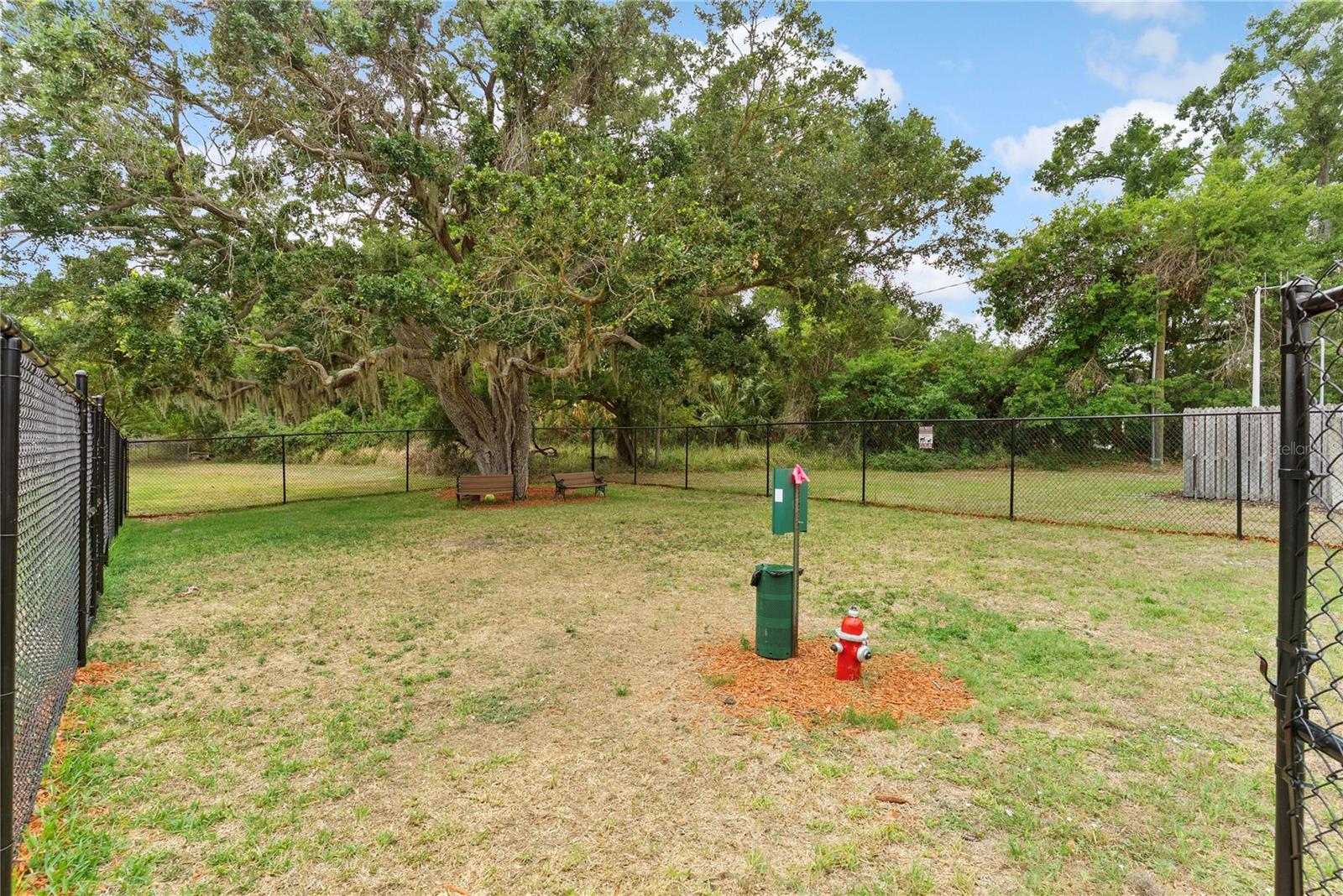 9426 STAR GAZER LN, RIVERVIEW, FL, 33578