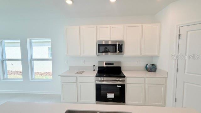 287 PUMA LOOP, GROVELAND, FL, 34736
