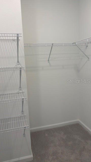 287 PUMA LOOP, GROVELAND, FL, 34736
