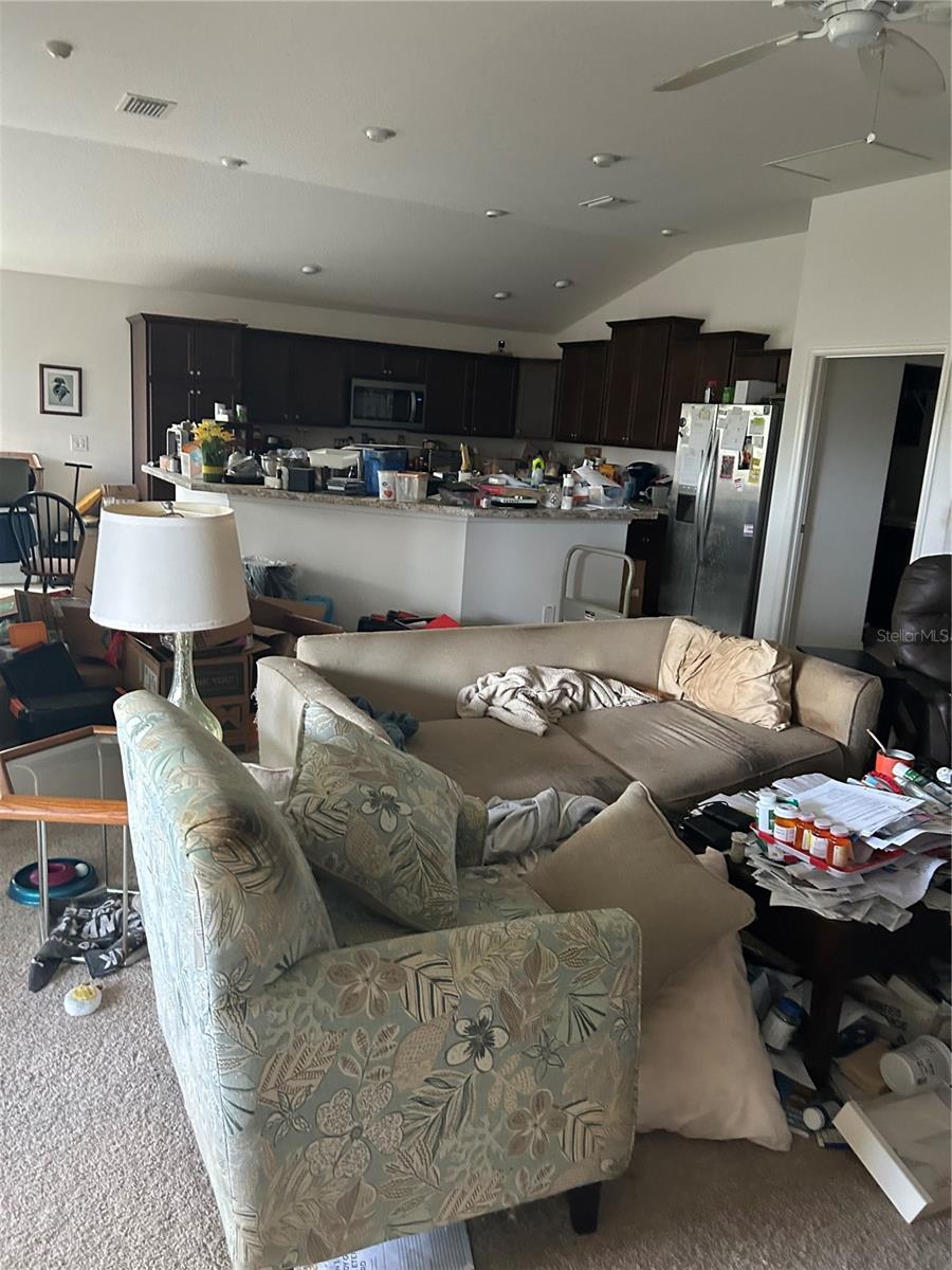 3074 BRINE WAY, THE VILLAGES, FL, 32163