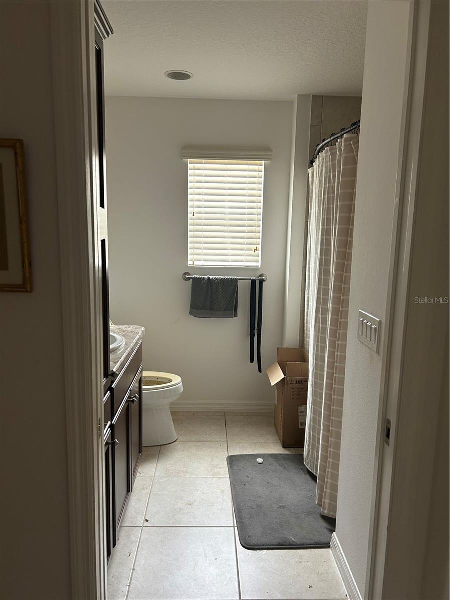 3074 BRINE WAY, THE VILLAGES, FL, 32163
