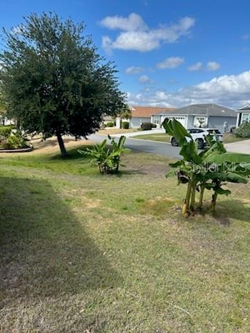 3074 BRINE WAY, THE VILLAGES, FL, 32163