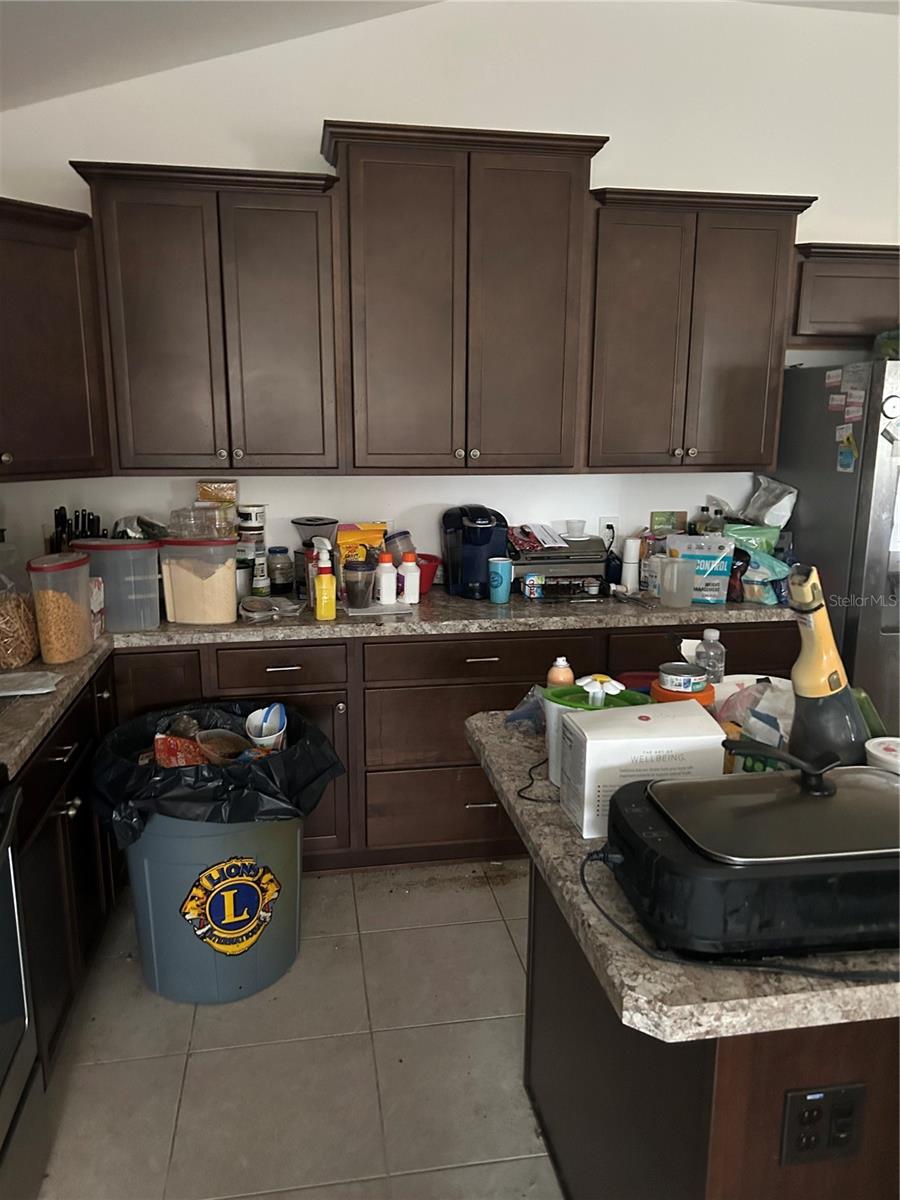 3074 BRINE WAY, THE VILLAGES, FL, 32163