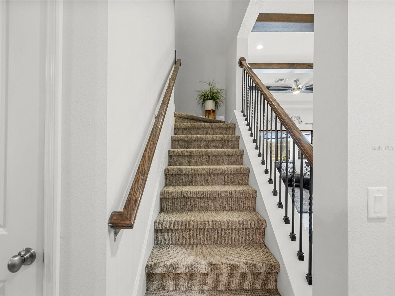 3437 BARBOUR TRL, ODESSA, FL, 33556