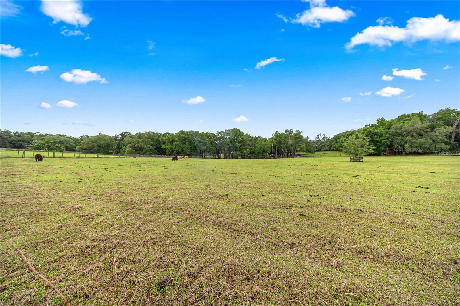 16248 SE HIGHWAY 42, WEIRSDALE, FL, 32195