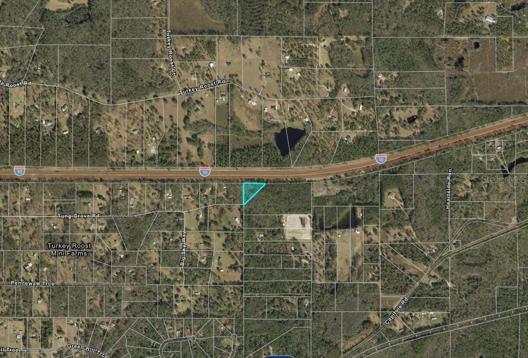 13-19-20-218-0000 TUNG GROVE RD, TALLAHASSEE, FL, 32317