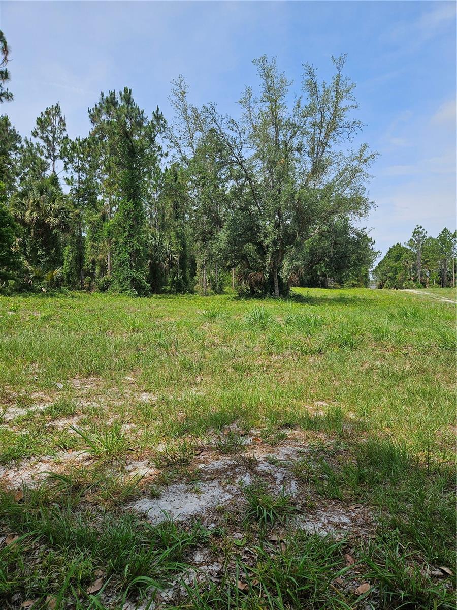 GENEVA WOODS CV, GENEVA, FL, 32732