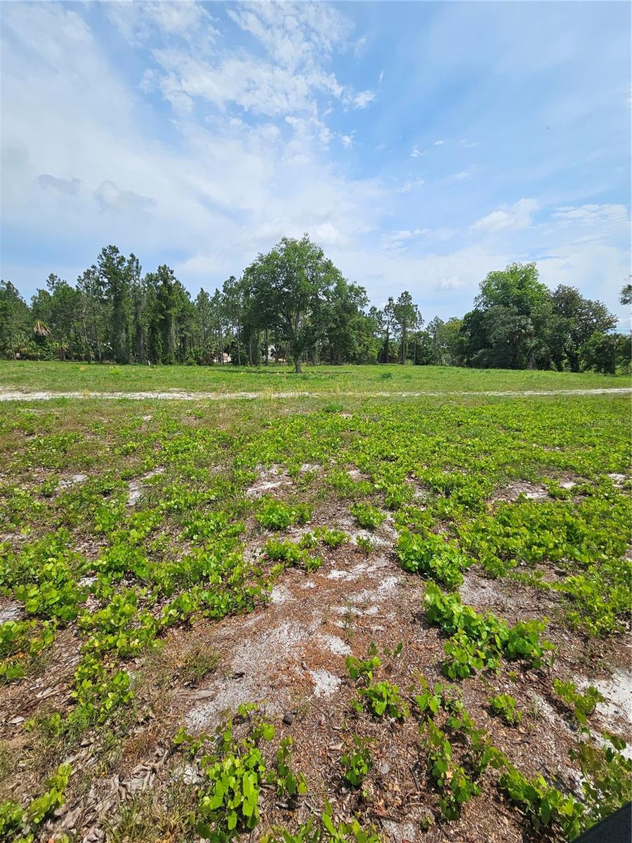 GENEVA WOODS CV, GENEVA, FL, 32732