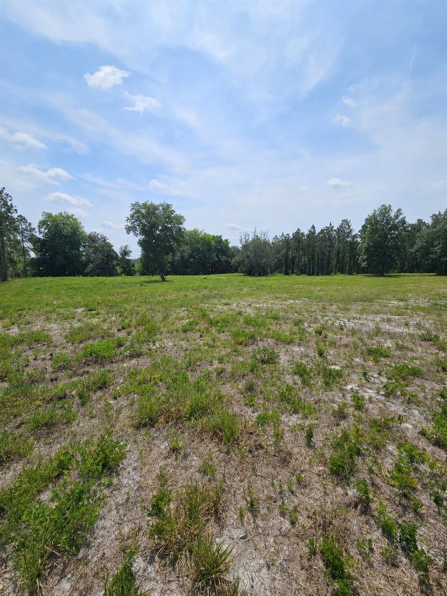 GENEVA WOODS CV, GENEVA, FL, 32732