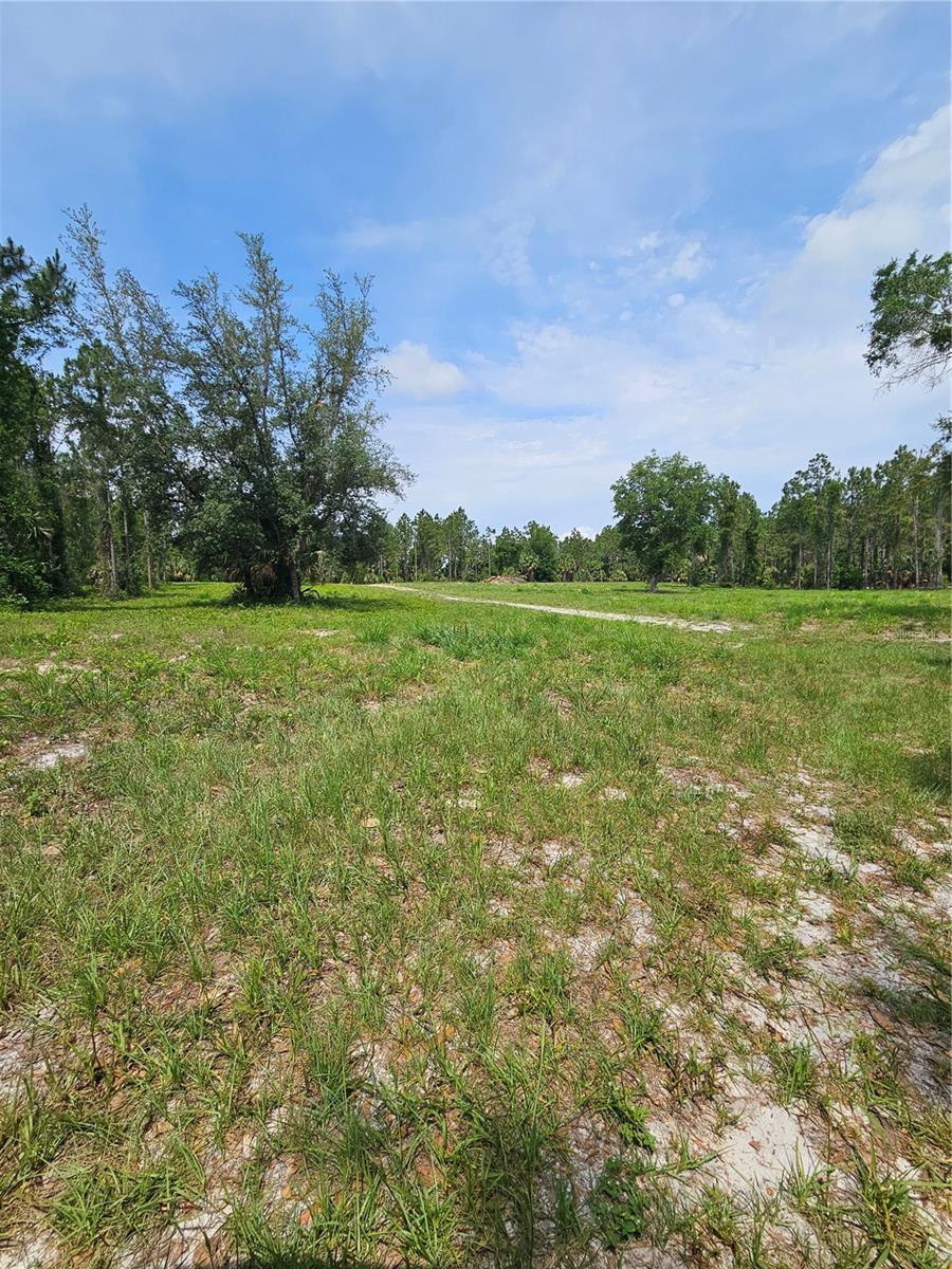 GENEVA WOODS CV, GENEVA, FL, 32732