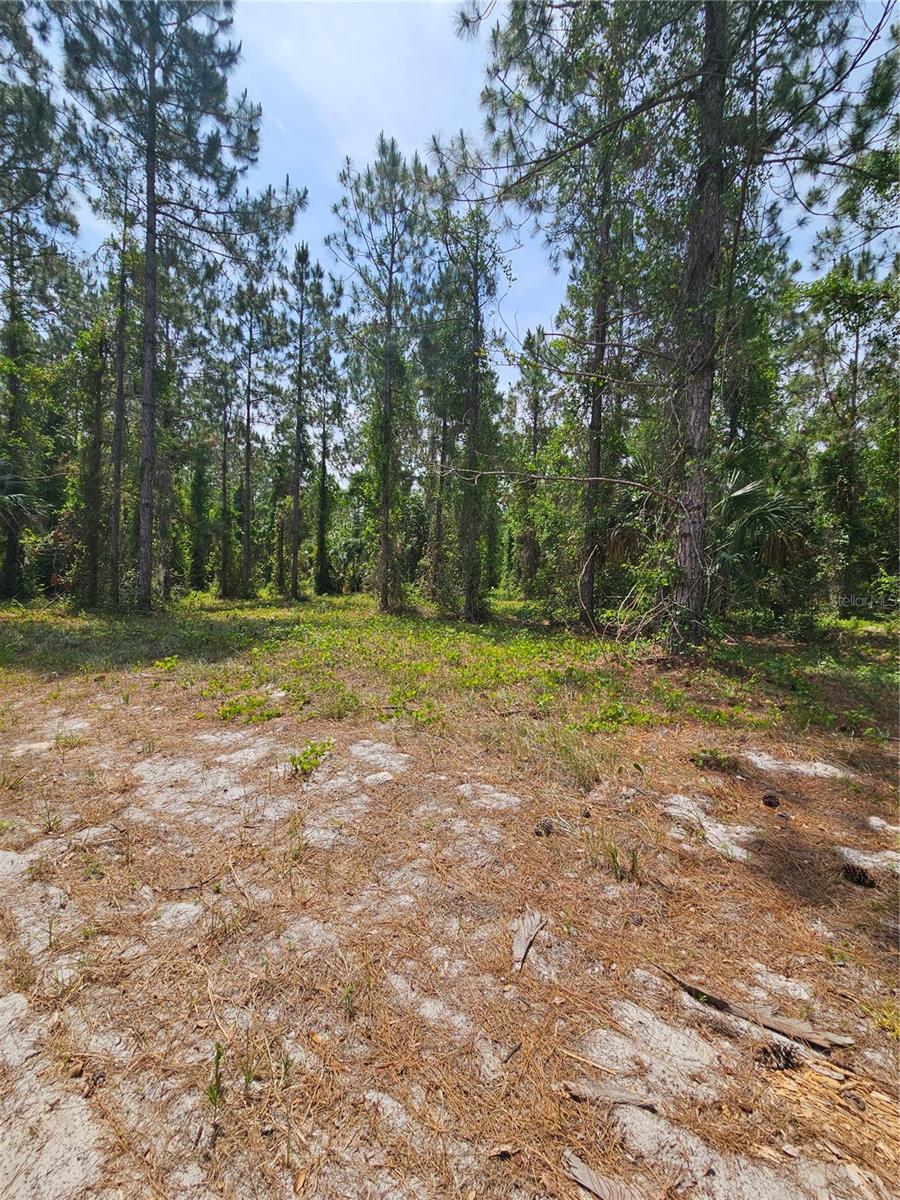 GENEVA WOODS CV, GENEVA, FL, 32732