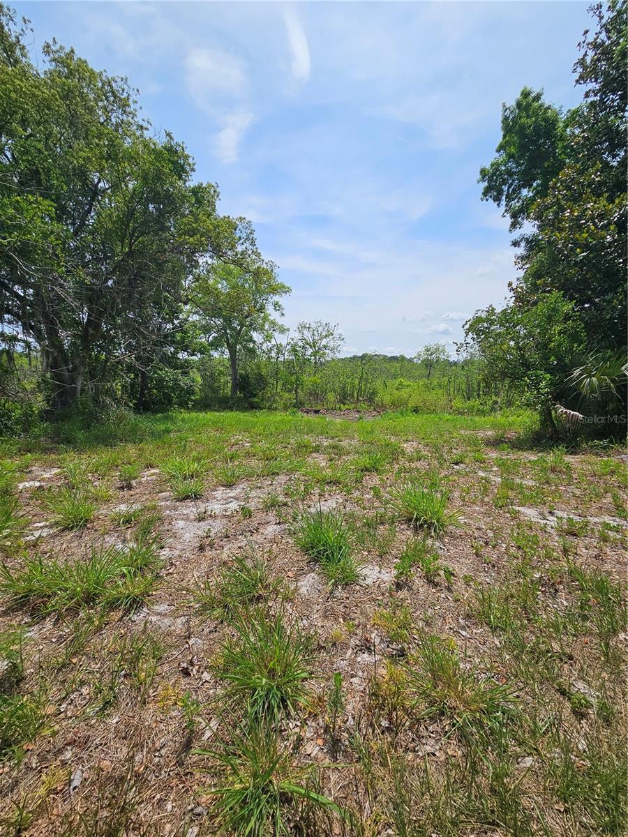 GENEVA WOODS CV, GENEVA, FL, 32732