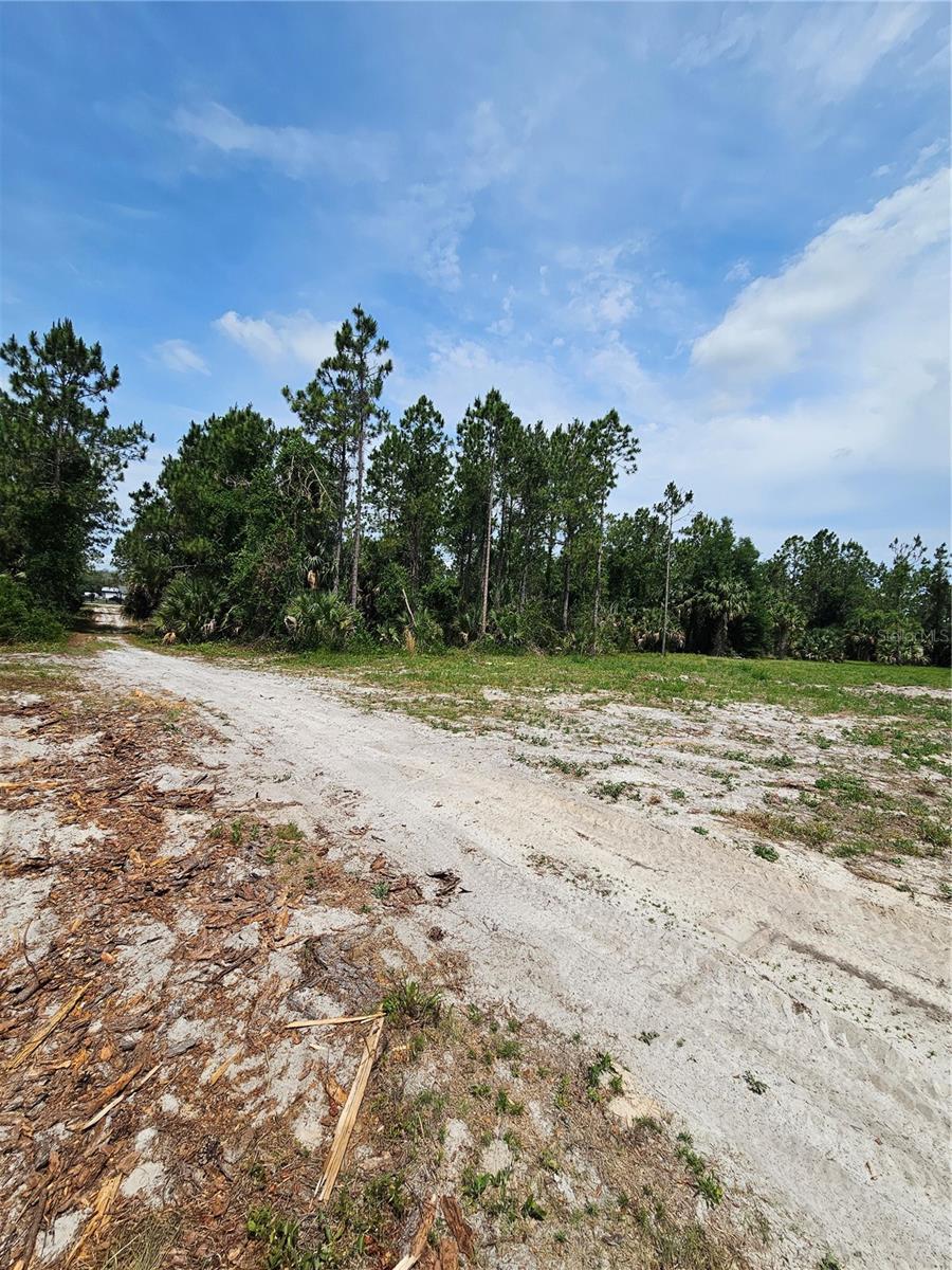 GENEVA WOODS CV, GENEVA, FL, 32732