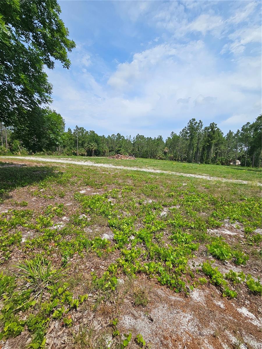 GENEVA WOODS CV, GENEVA, FL, 32732