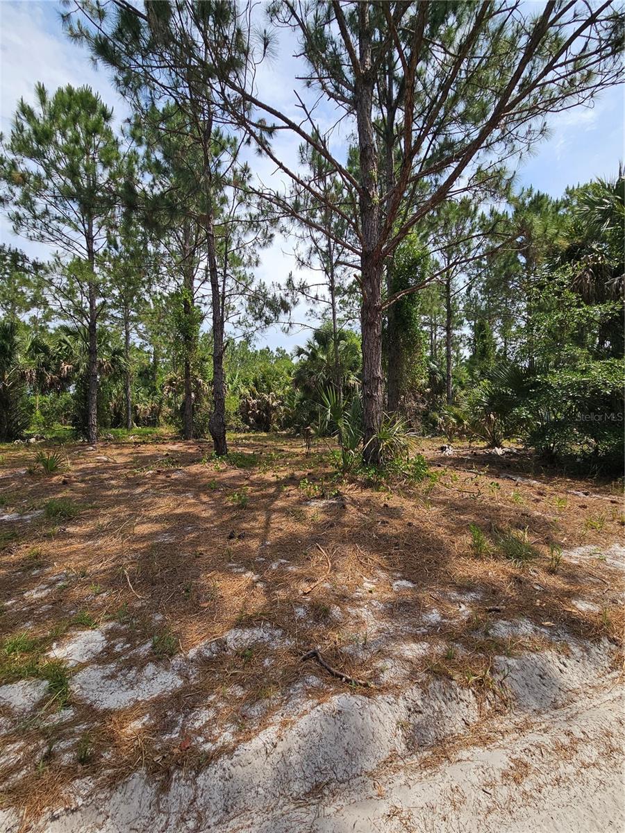 GENEVA WOODS CV, GENEVA, FL, 32732