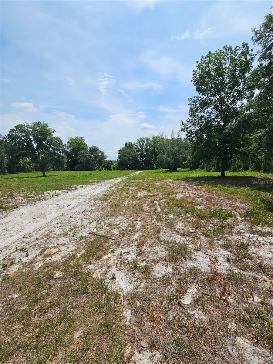GENEVA WOODS CV, GENEVA, FL, 32732