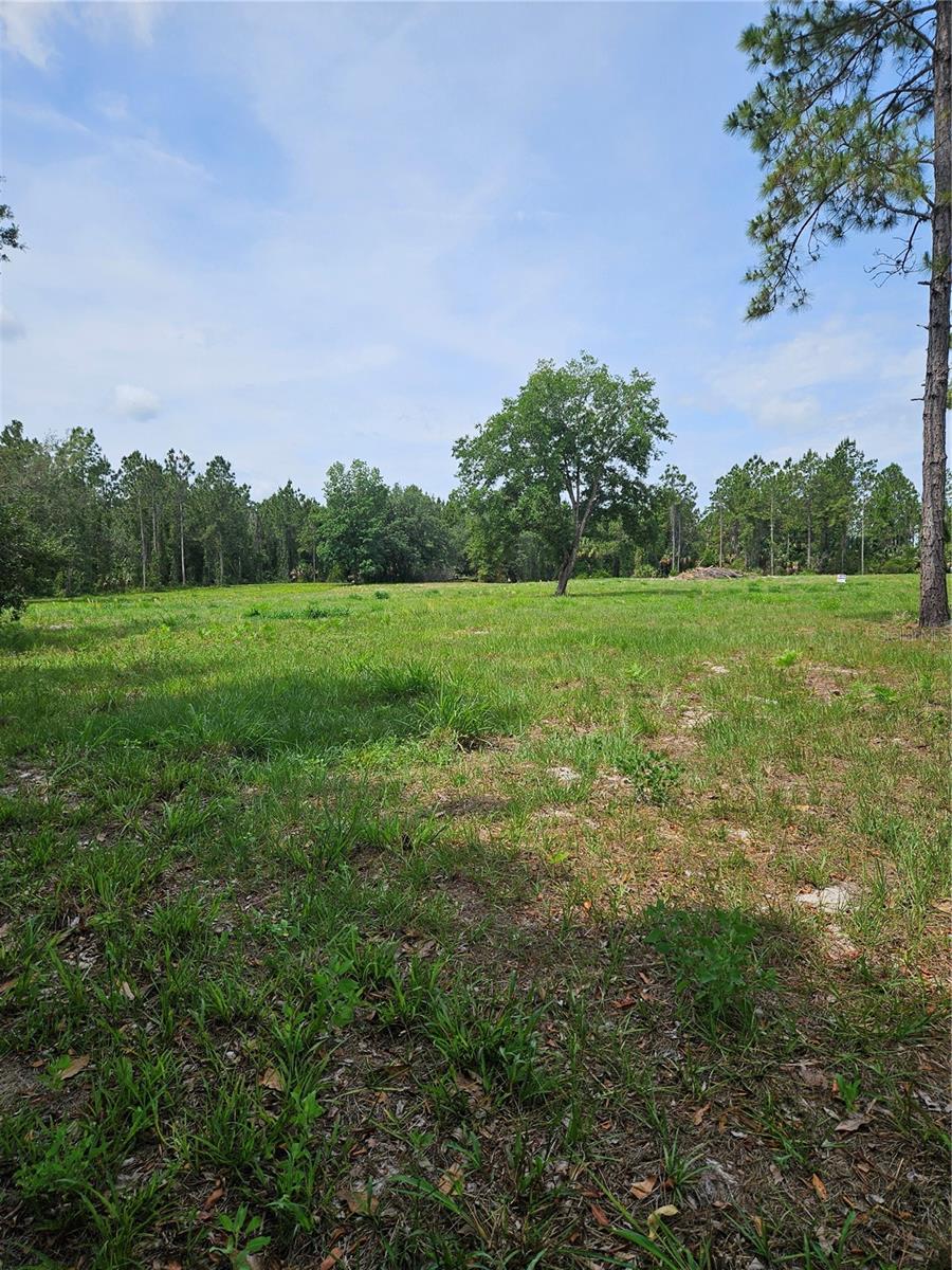 GENEVA WOODS CV, GENEVA, FL, 32732
