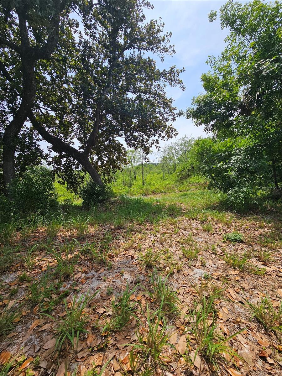GENEVA WOODS CV, GENEVA, FL, 32732