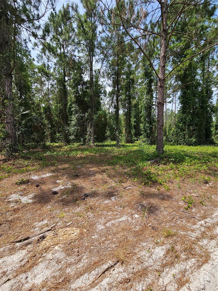 GENEVA WOODS CV, GENEVA, FL, 32732